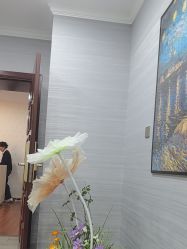 -武汉五洲整形外科医院