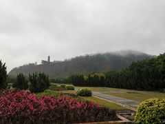 -南沙蒲洲花园