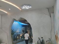 -西霞口神雕山野生动物世界