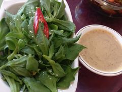爽口冰草-旭龙鱼头王(航华店)