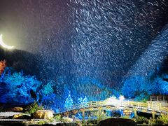 -禅宗少林·音乐大典