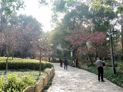 -乌山风景区