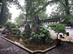 -南山植物园