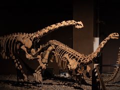 -世界恐龙谷景区