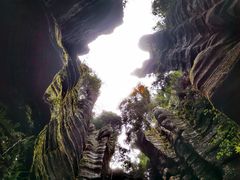 -梭布垭石林景区