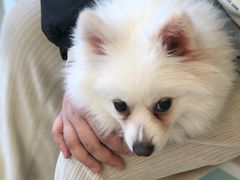 -怪兽屋·羊驼·猫咖·狗咖(俊华广场店)