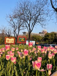 -玄武湖景区-情侣园游乐场