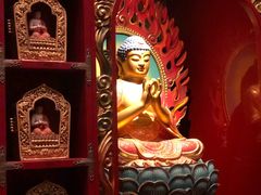 -新加坡佛牙寺龙华院