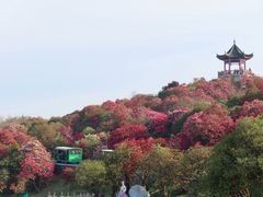 -御轩足道·SPA·养生·保健(瑞金北路店)