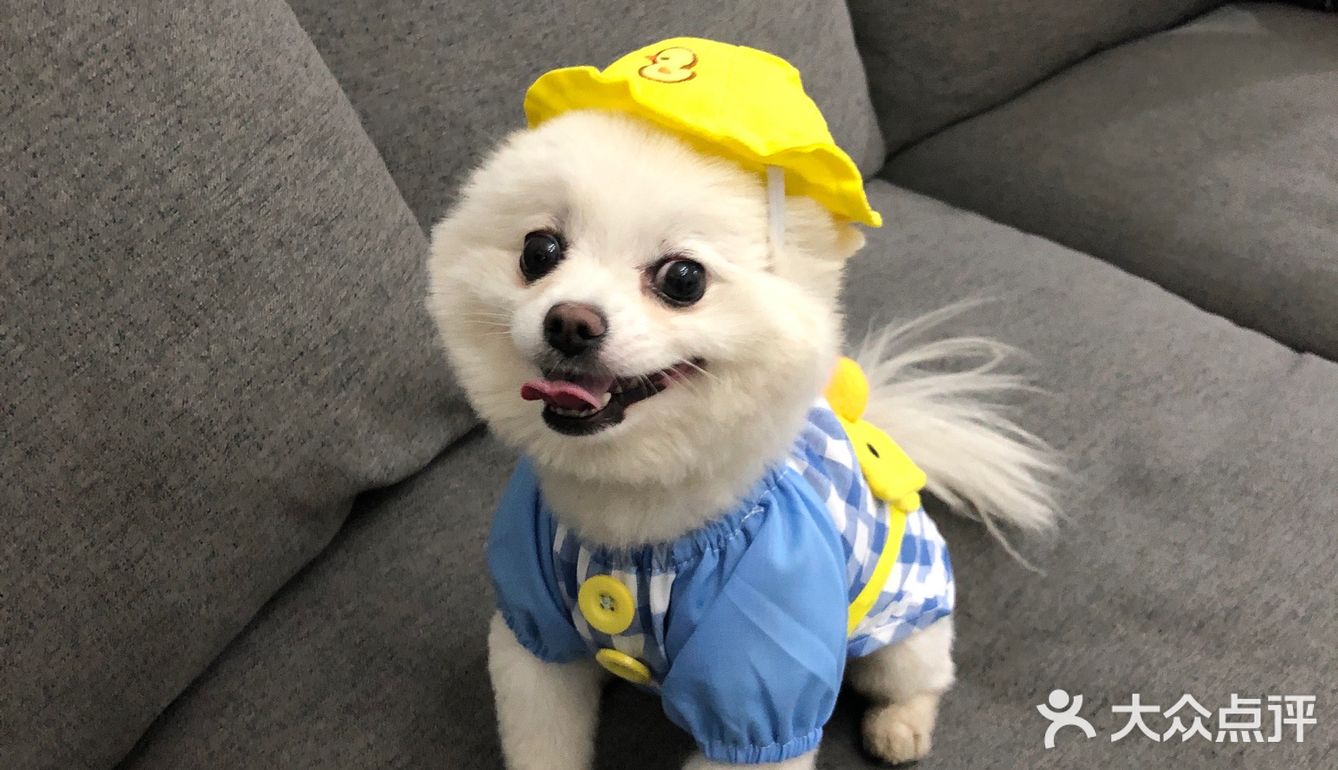 带帽子的小可爱