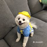 带帽子的小可爱