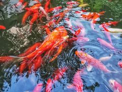 -苏州文旅花间堂·探花府酒店