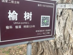 -内蒙古将军衙署博物院
