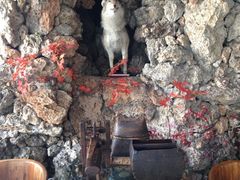 iphone_upload_pic-乔家满族八大碗(流水沟店)