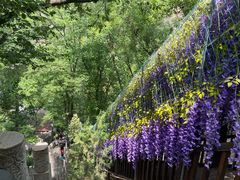 -沕沕水生态风景区