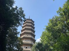 -灵谷景区