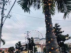 -美国村