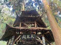 -青城山
