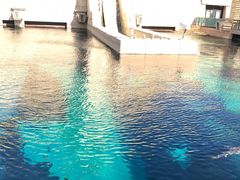 -亚特兰蒂斯水世界冒险乐园