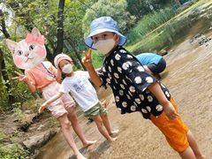 -白水寺森林公园