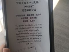 -国家会议中心大酒店