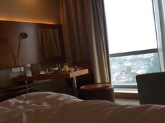 -上海浦东康桥绿地假日酒店
