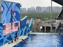 -上海海昌海洋公园