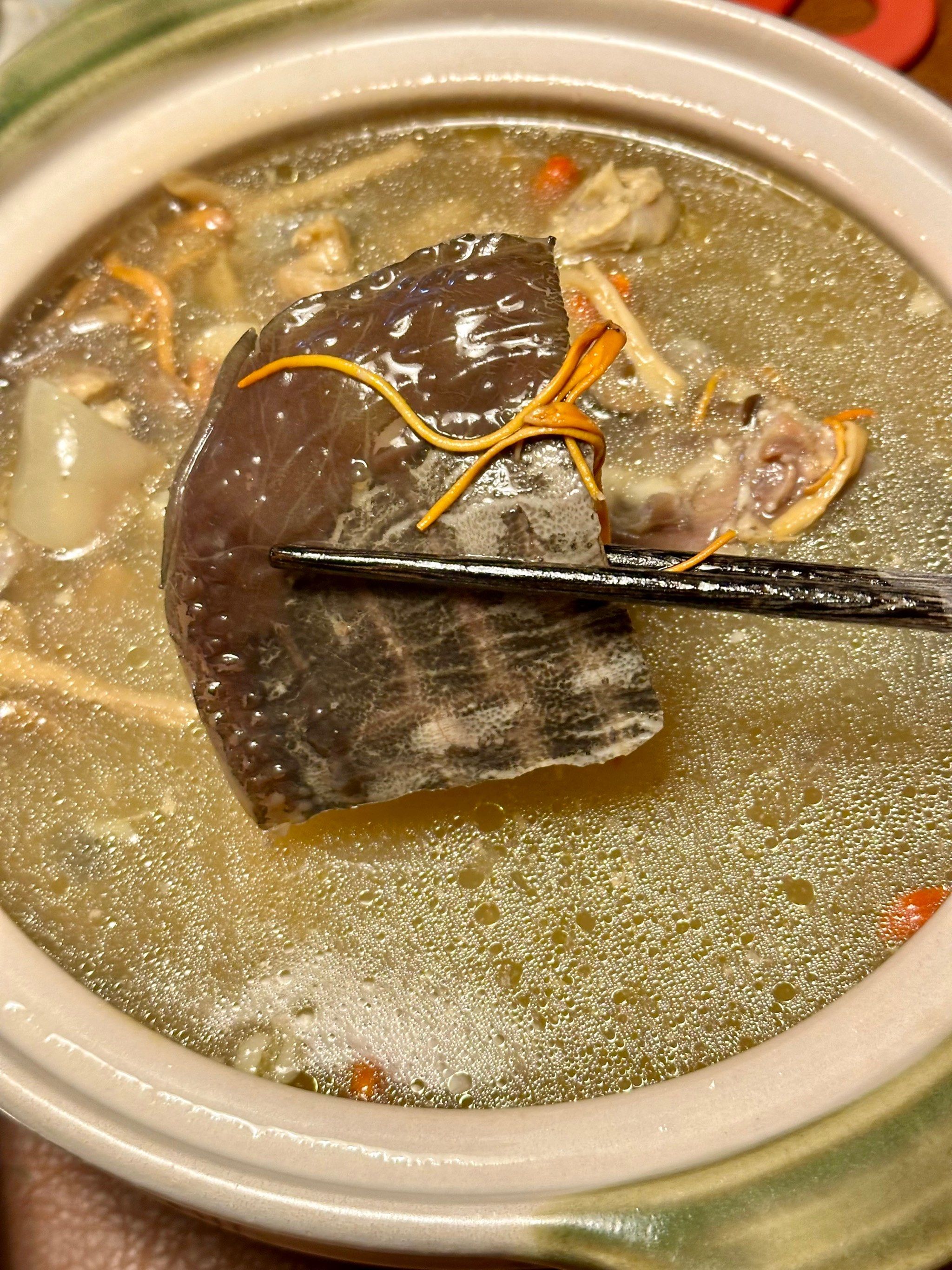 🌿春日养生,这甲鱼也太滋补了吧!