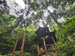 -青城山