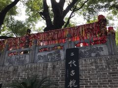 -大槐树寻根祭祖园