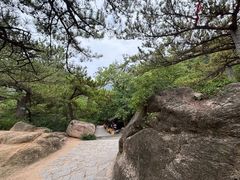 -天津盘山风景名胜区