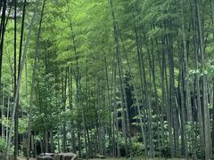 -黄公望隐居地