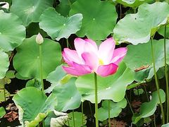 -四川大学(华西校区)