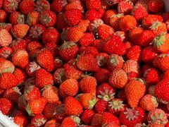 -南坛综合农贸市场