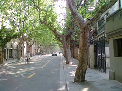 -老洋房花园饭店(绍兴路店)