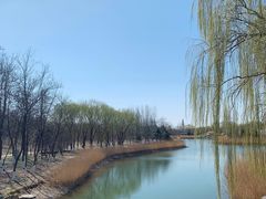 -大兴滨河森林公园