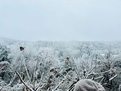 -庐山风景名胜区