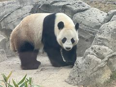 -武汉动物园
