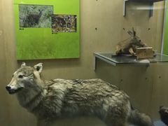 -陕西自然博物馆