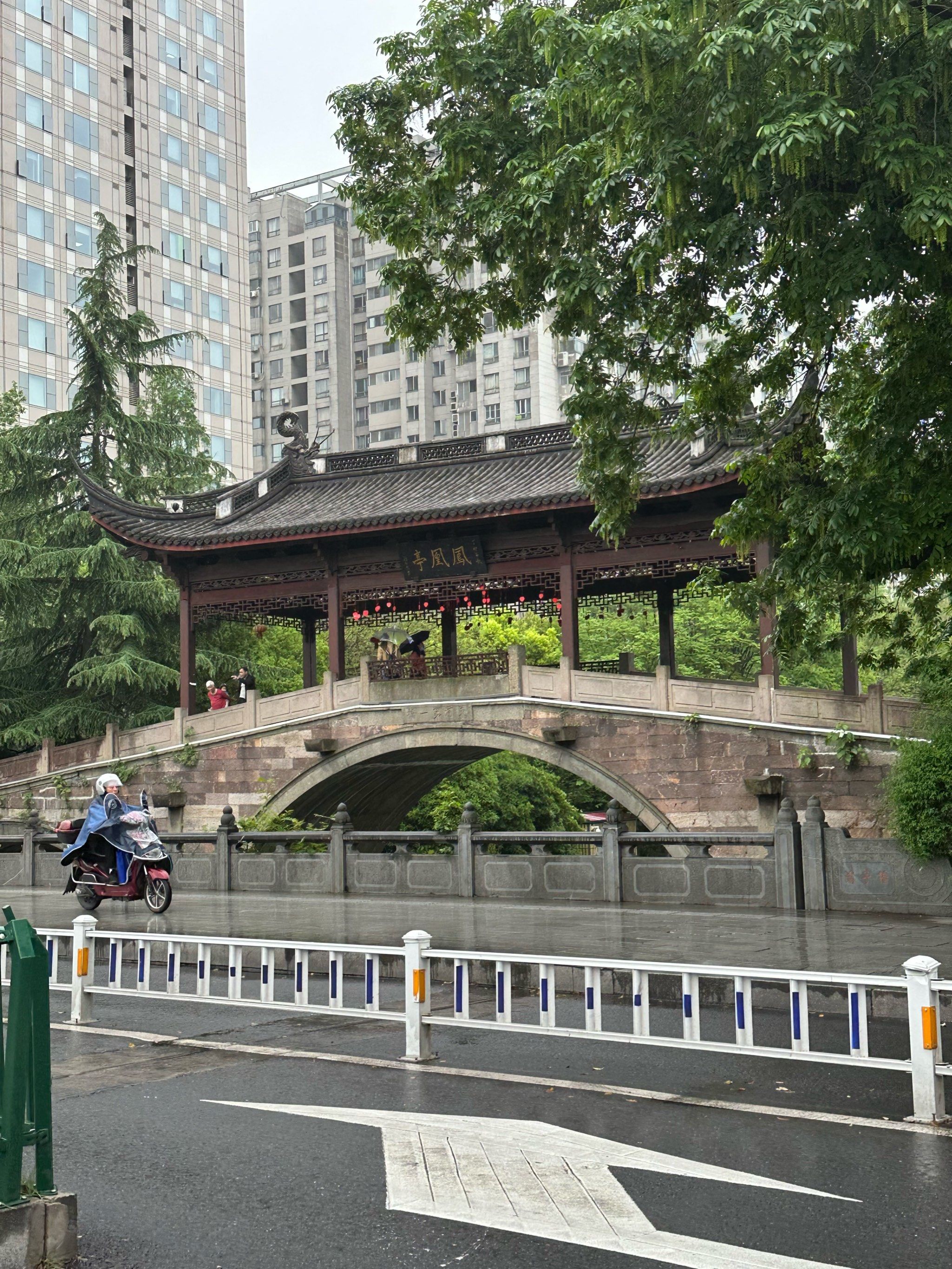 终于拍到了,东河第一桥凤凰亭