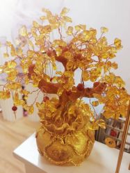 -美肤盾祛痘·问题肌头疗管理中心