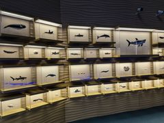 -上海中国航海博物馆