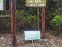 -上海海湾国家森林公园