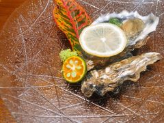 新西兰0度生蚝刺身-傑·料理·海鲜放题(佛山文华荟店)
