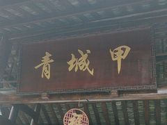 -青城甲(青城山店)