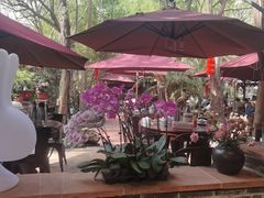 -园林美食城·本土农家菜(杨和镇店)