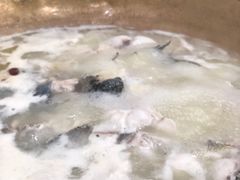 -颜氏双江清水鱼一养身火锅(磁器口店)