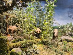 -陕西自然博物馆