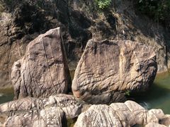 -广州白江湖森林公园