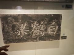 -白鹤梁水下博物馆